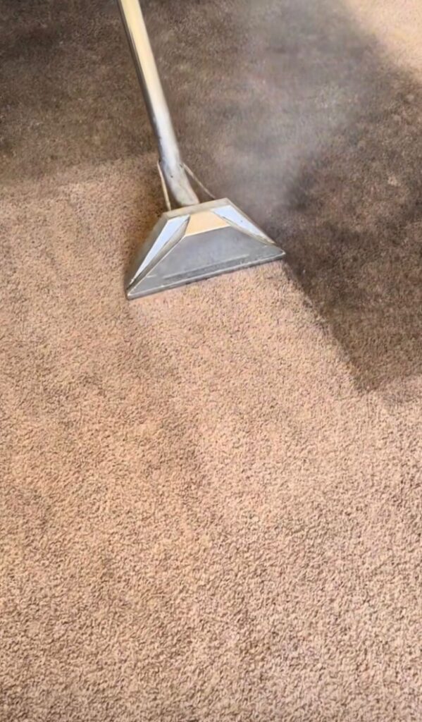 carpet cleaning services In Alafaya, FL
Area Rug Cleaning in Union Park, FL
Carpet Restoration in Rio Pinar, FL