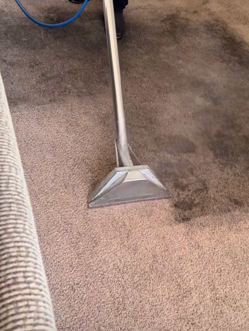 Carpet Cleaning Services in Orlando, FL