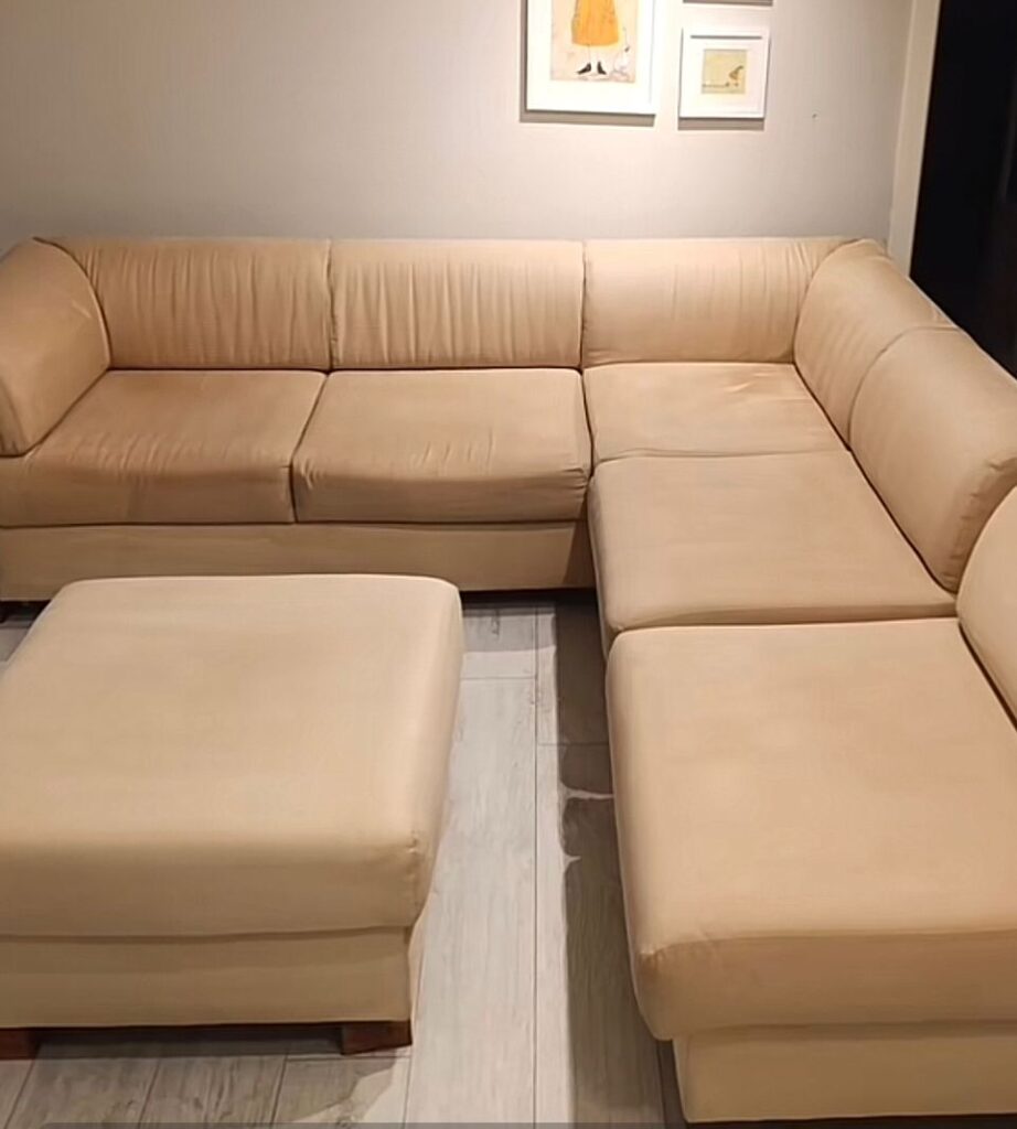 Sofa Cleaning Services in Orlando, FL