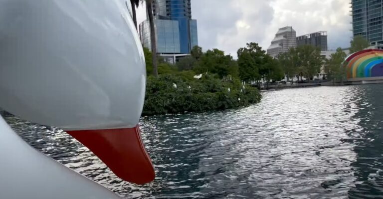 Lake Eola Orlando Guide Tips Before You Go Rules