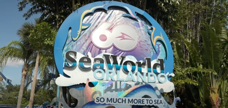 SeaWorld Orlando Guide Tips Before You Go