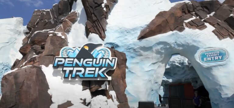 SeaWorld Orlando Guide Tips Before You Go Penguin Trek