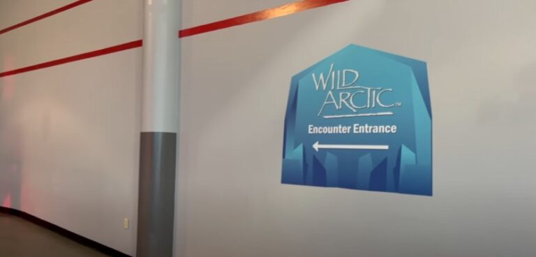 SeaWorld Orlando Guide Tips Before You Go Wild Arctic