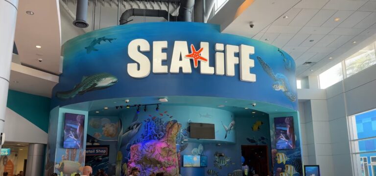 Icon Park Orlando Guide Florida Attractions Tips Before You Go Is it Worth It Sea Life